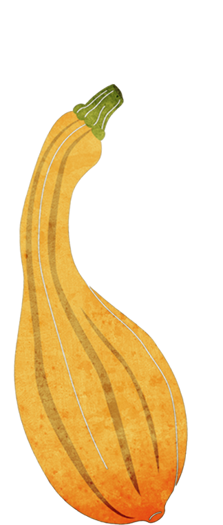 radish